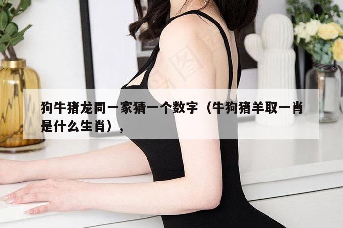 狗牛猪龙同一家猜一个数字（牛狗猪羊取一肖是什么生肖）,