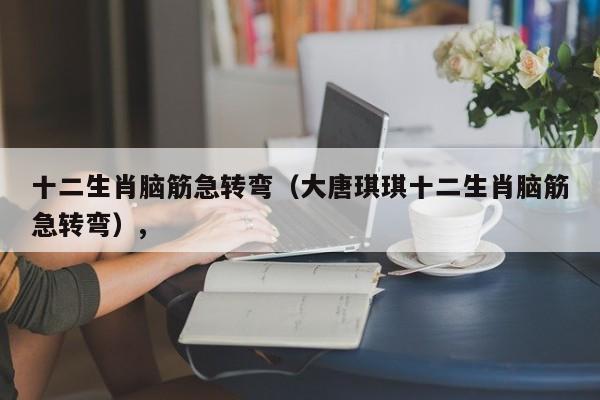 十二生肖脑筋急转弯（大唐琪琪十二生肖脑筋急转弯）,